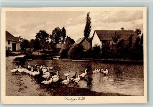 Serie Idylle Nr. 106 , Gänse im Dorfweiher, sehr gute Erhaltung AK