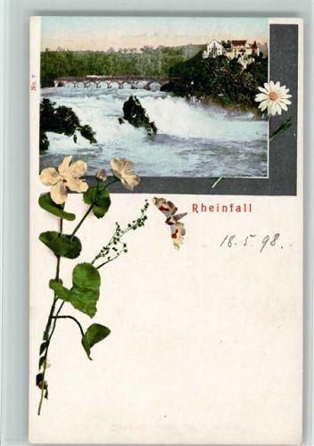 Schaffhausen 1898 Rheinfall Zierblumen