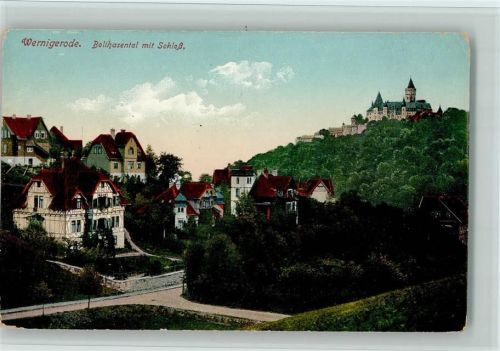 Wernigerode Bollhasental mit Schloß