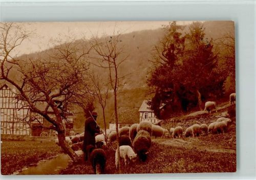 1928 Hirte mit seiner Schafherde AK