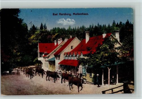 Bad Harzburg Hotel Pension Molkenhaus Kühe