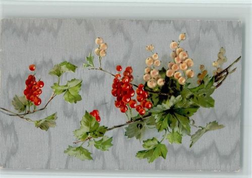 1909 Johannisbeeren AK