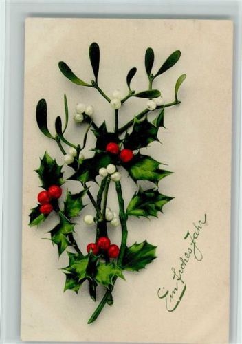 Nr. 695 - Neujahr, Mistelzweig Stechpalme - Farbenlichtdruck Rommel 1909