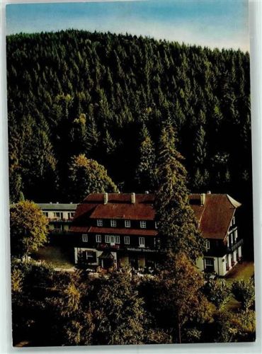 Baden-Baden Waldhotel Fischkultur