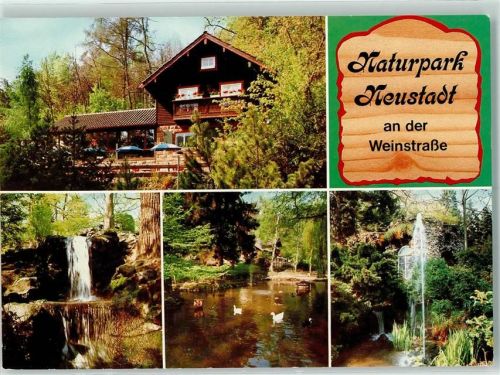 Neustadt Naturpark Wasserfall Enten