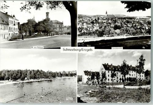 Schneeberg Rathaus Filzteich Siedlung des Friedens