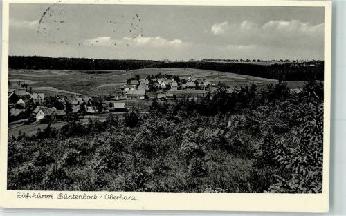 Buntenbock