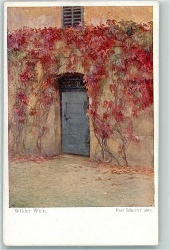 Nr. 1288 wilder Wein sign. Karl Schuster AK