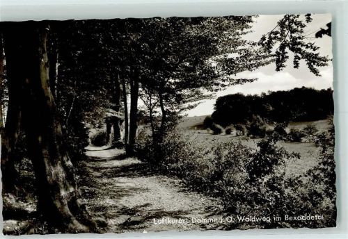 Damme Waldweg im Besaddetal Rückseite mit Abschürfungen bzw Kleberesten