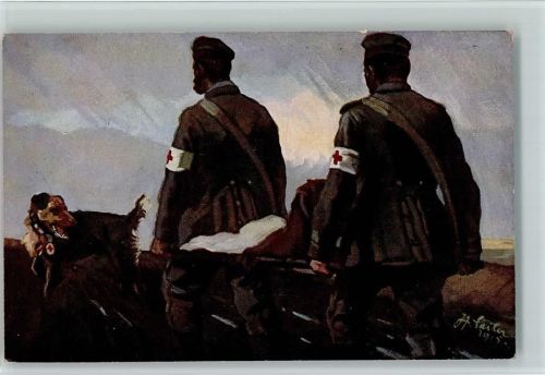 Der Sanitätshund im Felde Nr. 6 - sehr gute Erhaltung AK