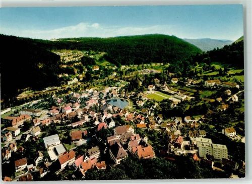 Bad Liebenzell Blick auf Bad Liebenzell