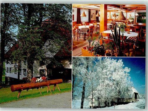 Neukirch Winter Gasthaus Zum Hirschen