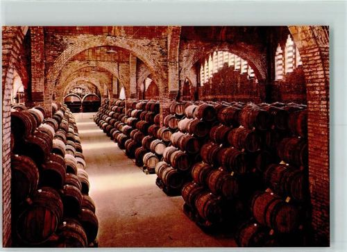 San Sadurni de Noya Cavas Codorniu Una bodega Monumento Nacional