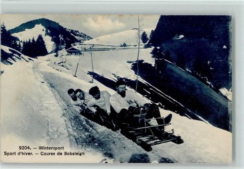 1909 Photoypie Nr. 9204 - Wintersport Bobsleigh