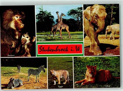 Stukenbrock Safari Land Paviane Tiger Elepanten