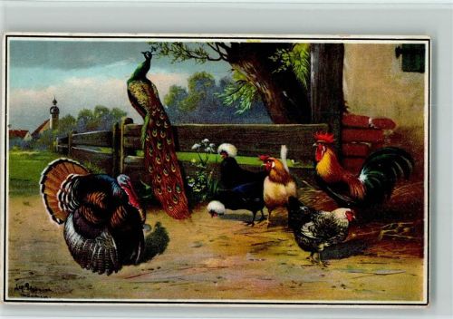 1912 Serie 1142-4 - Hühner, Pfau und Puter AK