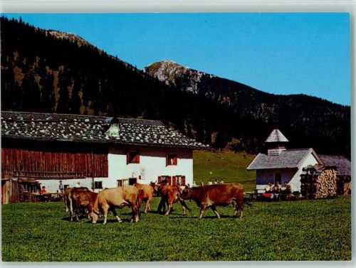 Esterbergalm Kühe