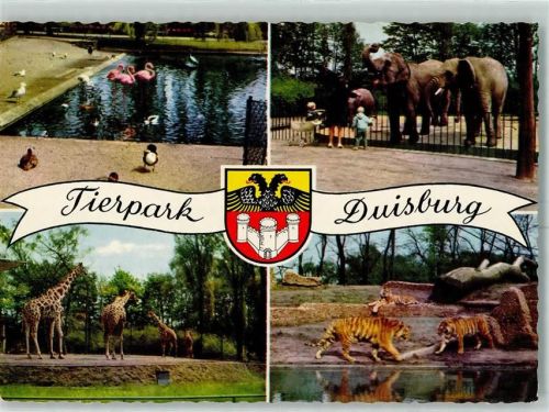 Duisburg Tierpark Elefanten Tiger Giraffen Flamingos