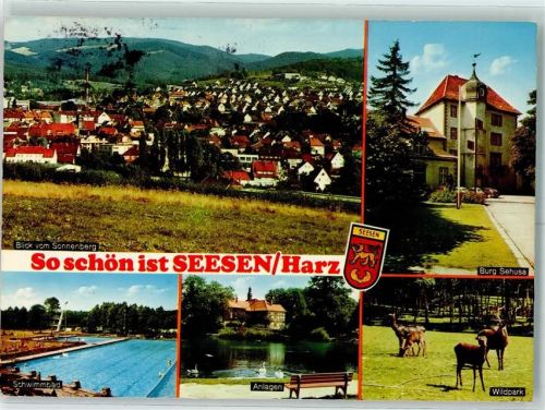 Seesen Burg Sehusa Schwimmbad Wildpark