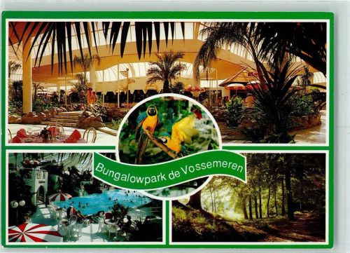 Lommel Center Parcs Bungalowpark De Vossemeren Papageien