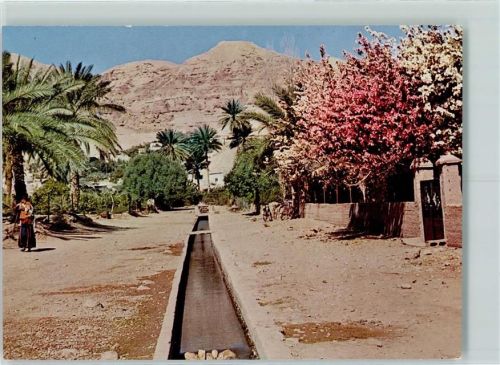 Jericho Mount fo Temptation Elisheus Fountain