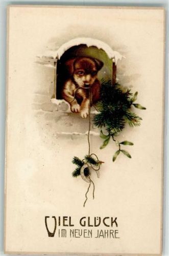1916 Hundewelpe Hufeisen AK
