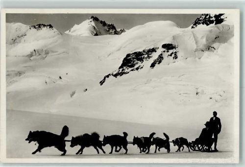 Jungfraujoch 1935 Polarhunde auf dem Aletschgletscher AK