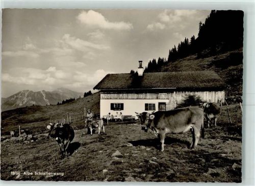 Oberstdorf Alpe Schattenwang Kühe Stempel