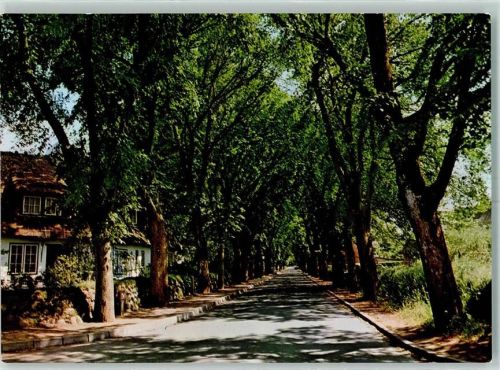 Keitum Allee
