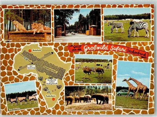 Stukenbrock Senne-Grosswild Safariepark Elefanten Giraffen Löwen Zebras