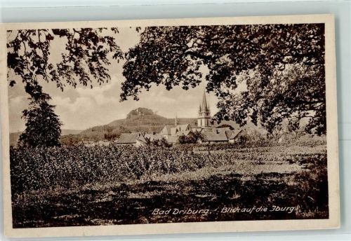 Bad Driburg Blick zur Iburg