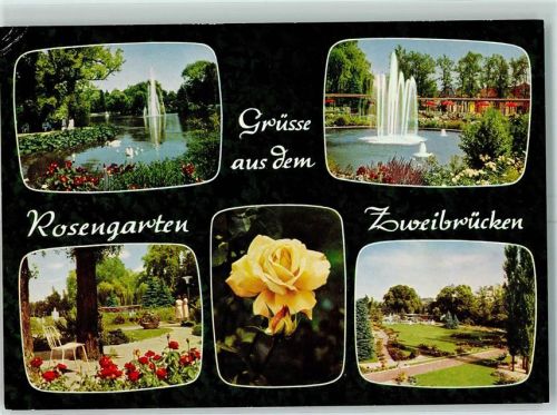 Zweibrücken Der Rosengarten Wasserfontainen Rosenblüte