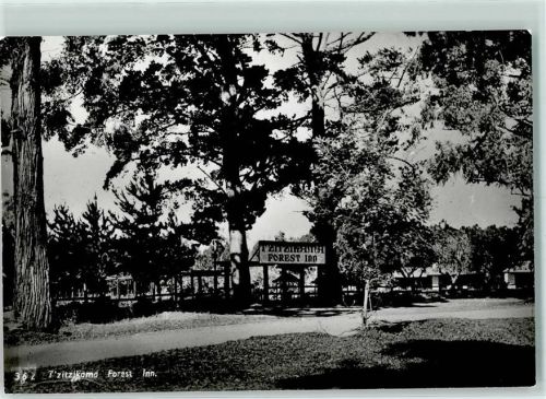 Tsitsikamma 1960 Forest