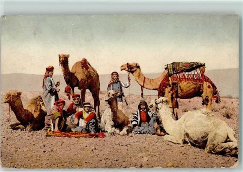 A Camel Driver AK