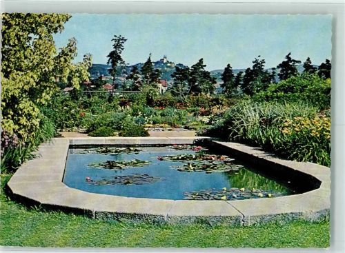 Linz Botanischer Garten Seerosenbecken