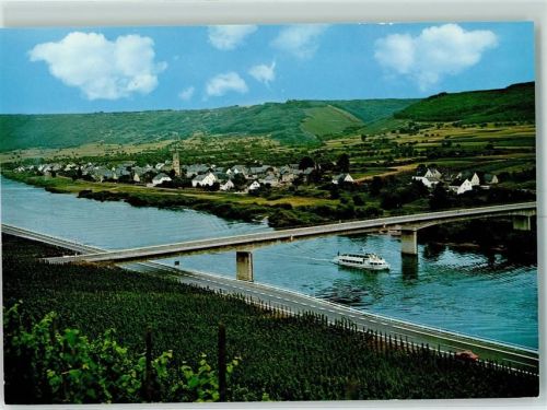 Lösnich Mosel Weinreben