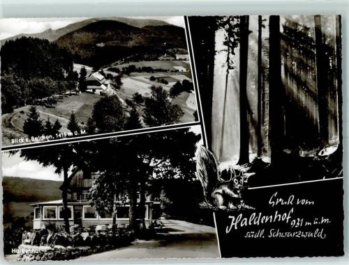 Neuenweg Gasthaus Haldenhof Belchen Waldweg Eichhörnchen