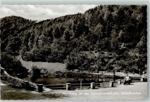 Hornberg Schloßweiher