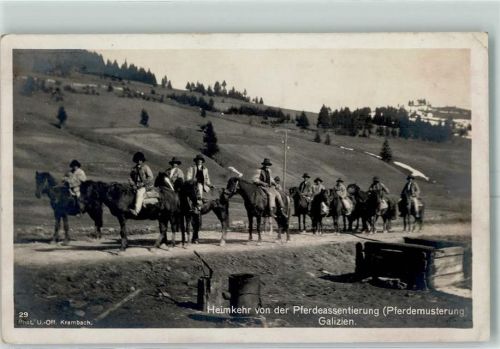 Lemberg 1915 Pferdemusterung Feldpost WK I