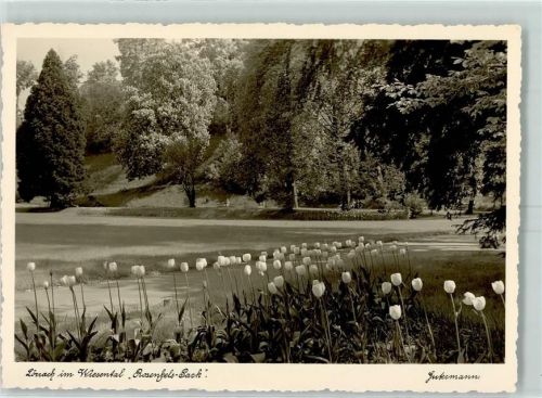 Lörrach Fotograf Gutermann Rosenfels-Park