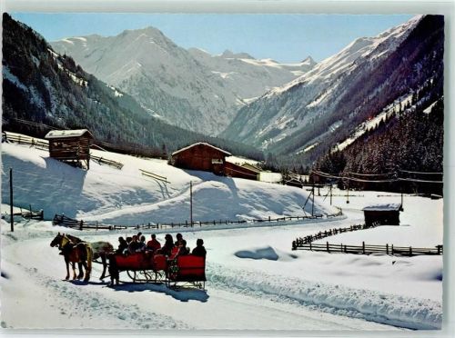 Neustift Pferdeschlitten Winter