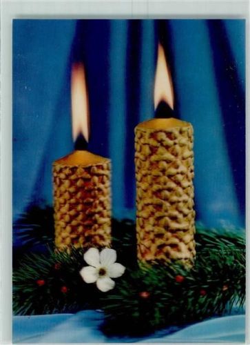 Kerzen Tannenzweig Christrose Candles No.228