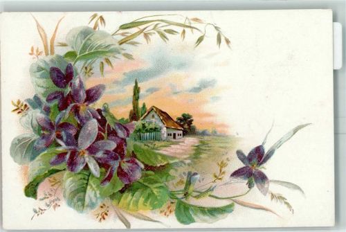 1900 Lithographie AK