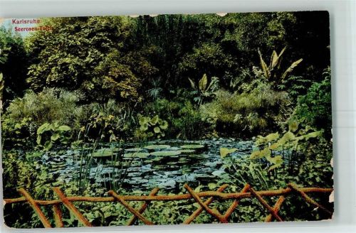 Karlsruhe Seerosen Teich
