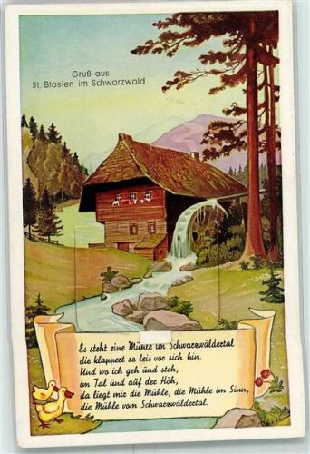 St. Blasien Leporello AK