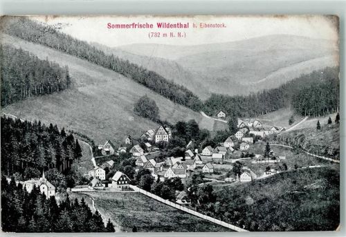 Wildenthal 1909