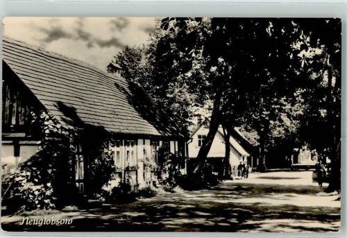 16775 O1431 Neuglobsow - Dorfstrasse