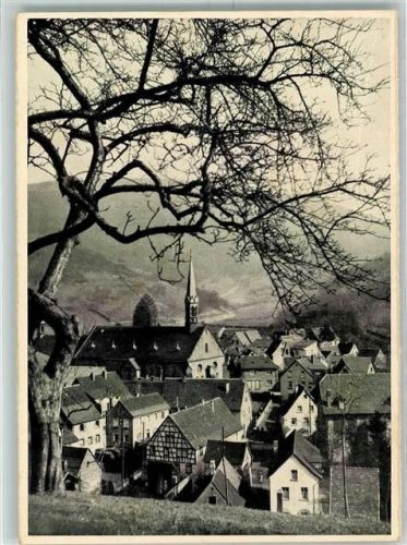 Schönau ehem.Zisterzienserkloster Baum Fachwerkhaus