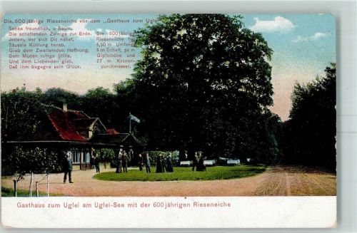 Eutin 1912 Gasthaus zum Uglei Rieseneiche