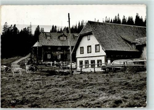Weißkirchen Salzstiegelhaus Kühe Auto VW Käfer